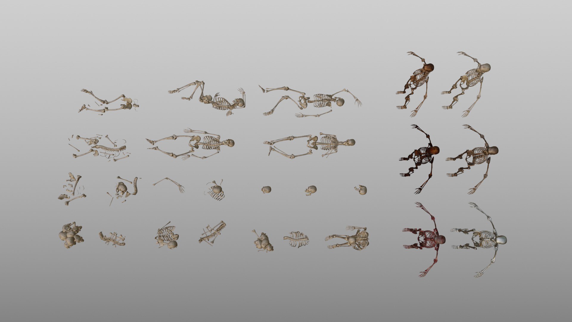 3D Human Bones And Skeleton Model - TurboSquid 2257713