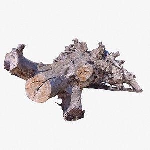 3D Tree Stump 04