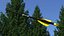 Jagd-Carbonpfeil Eomesette