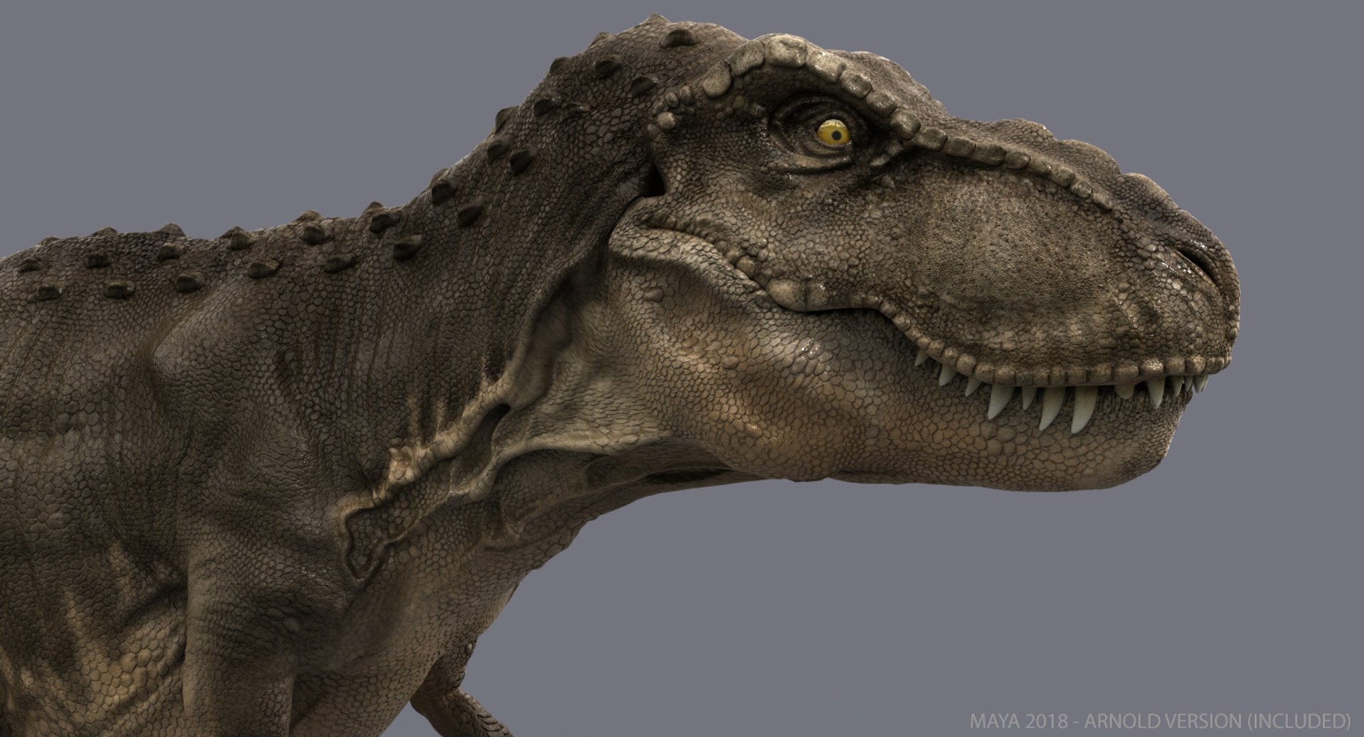 Tyrannosaurus Rex Trex Animation 3d Ma