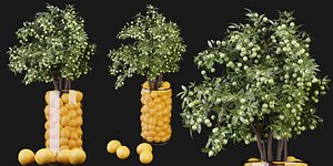 3D Collection plant vol 153 - blender model model