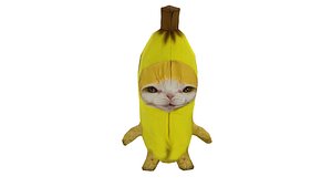 Banana Cat Cute Low Poly Cartoon 3D Model