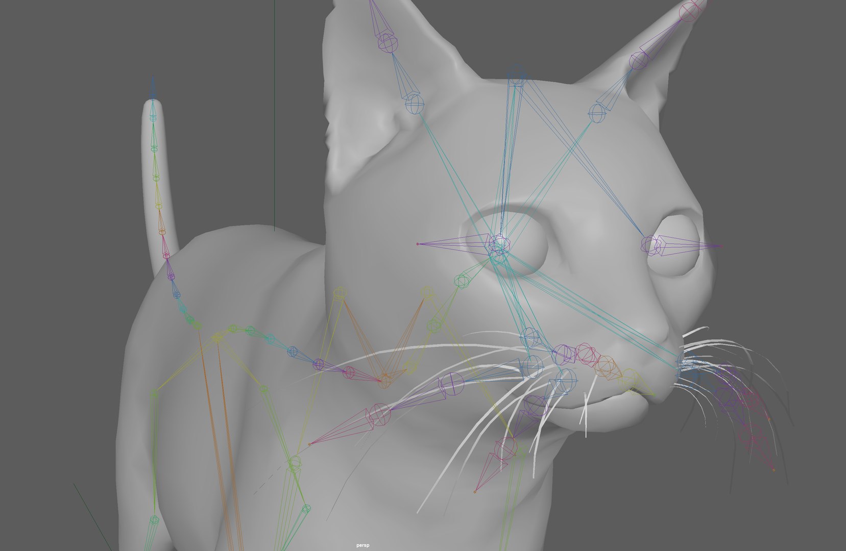 Cat Rigged Model - TurboSquid 1900983