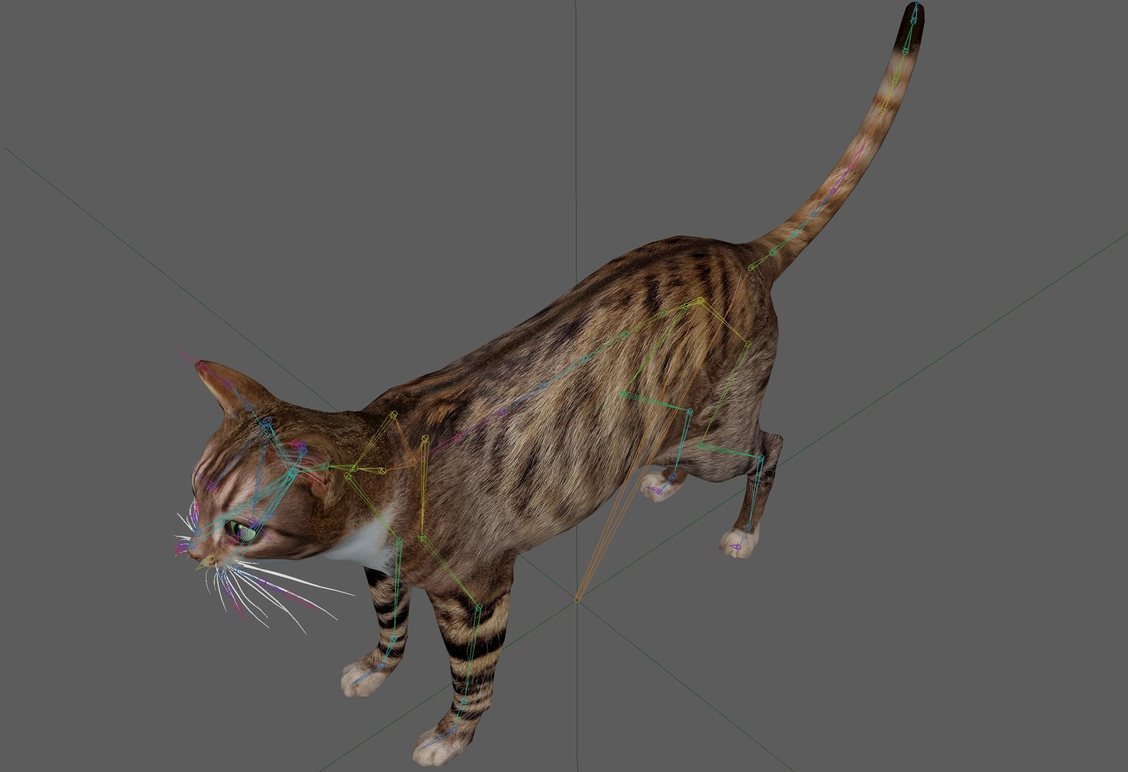 Cat Rigged Model - TurboSquid 1900983