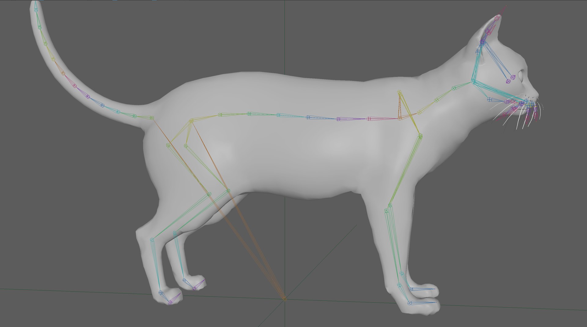 Cat Rigged Model - TurboSquid 1900983