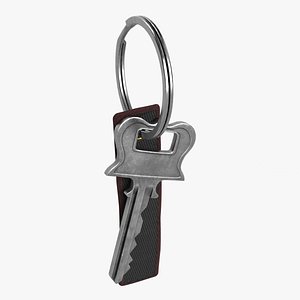 3D Key with Keychain