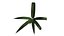Yucca