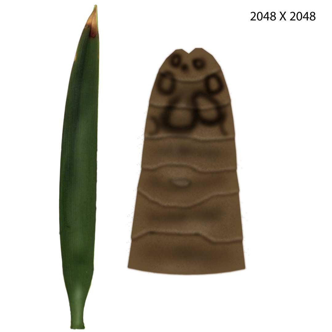 3d model yucca trees evergreen https://p.turbosquid.com/ts-thumb/Rd/REvAVY/j4JUvqAP/yucca_col/jpg/1434457923/1920x1080/fit_q87/b148a547f9b09066e9715ae74c3ca759010e1148/yucca_col.jpg