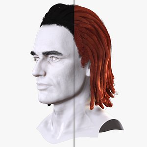 3D Medium Dreadlocks Hair -Realistic Male 3D Model model