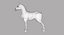 Horse Cartoon Alex