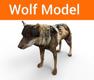 wolf 3D model