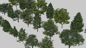 3D tree 20220616