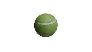 Tennis Ball 3D model
