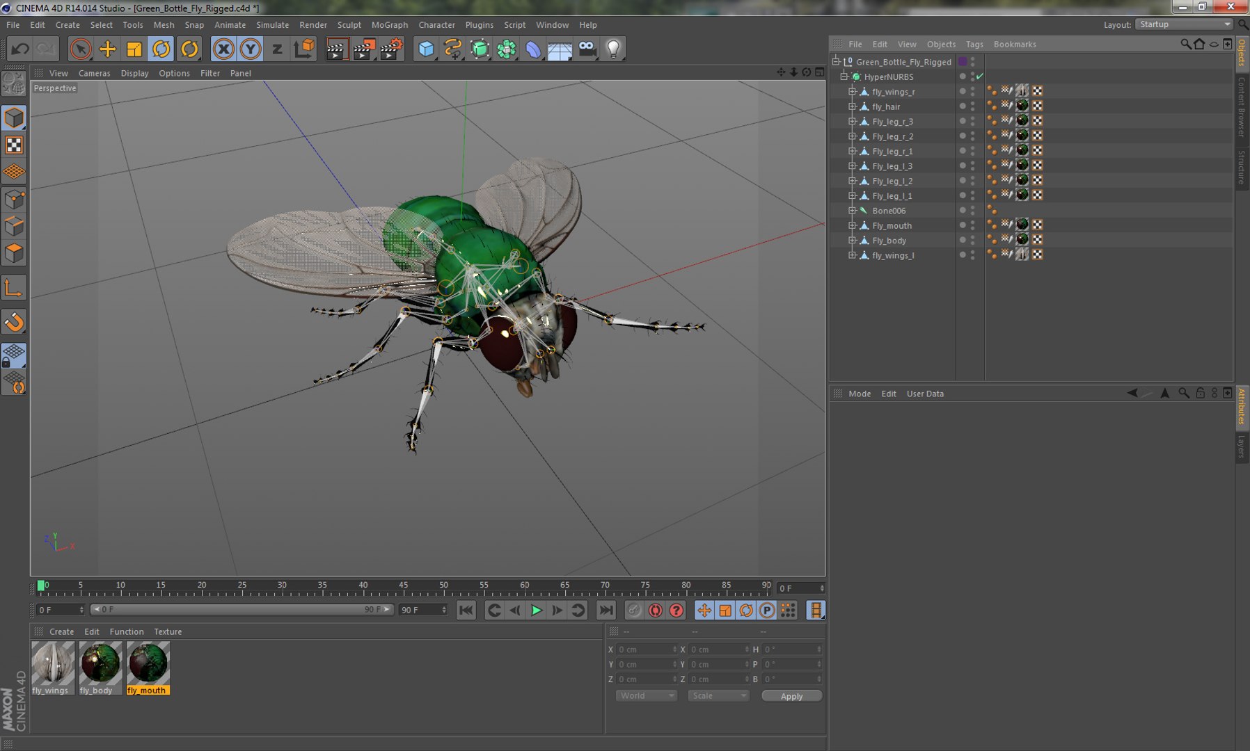 insects set gibbifer 3D https://p.turbosquid.com/ts-thumb/Re/ItAWIO/324MNqNW/greenbottleflyriggedcinema4d3dmodel25/jpg/1582954901/1920x1080/fit_q87/5156c3dc1134eee7cae54acb45ef262720326ecf/greenbottleflyriggedcinema4d3dmodel25.jpg