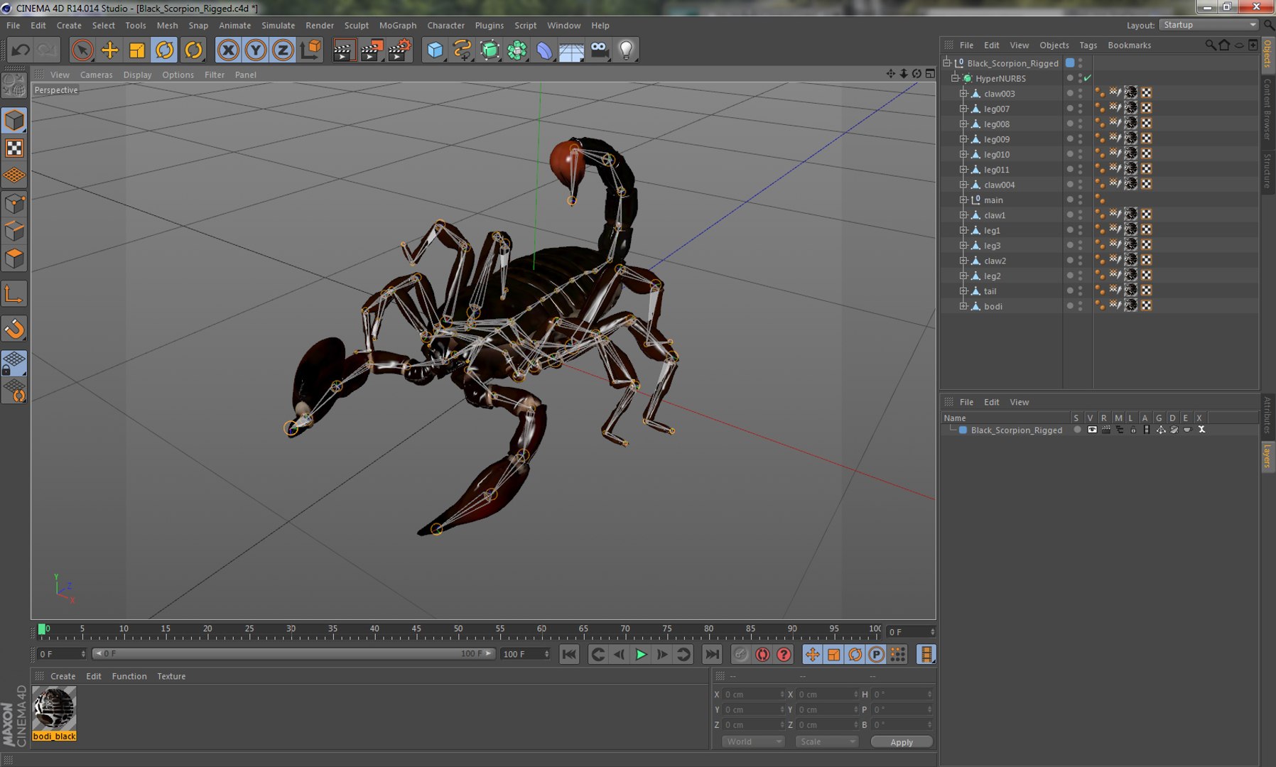 insects set gibbifer 3D https://p.turbosquid.com/ts-thumb/Re/ItAWIO/5kXISSOz/blackscorpionriggedcinema4d3dmodel33/jpg/1582954901/1920x1080/fit_q87/23558678f2cb26eff0bab6db463b5937dd0233c0/blackscorpionriggedcinema4d3dmodel33.jpg