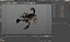 Insects Collection for Cinema 4D