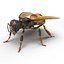 Insects Collection for Cinema 4D