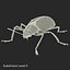 Insects Collection for Cinema 4D