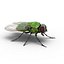 insects set gibbifer 3D