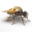 Insects Collection for Cinema 4D