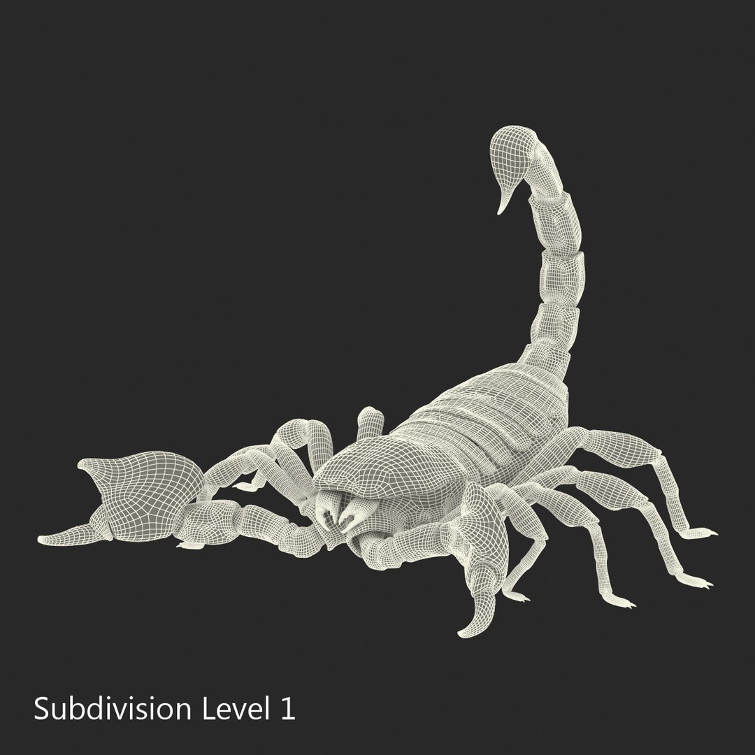 insects set gibbifer 3D https://p.turbosquid.com/ts-thumb/Re/ItAWIO/Uz1c8tLZ/insectscollectionvray3dmodels52/jpg/1471446848/1920x1080/fit_q87/b7e5da533326aea6109b51fd3bbed587593b20f2/insectscollectionvray3dmodels52.jpg