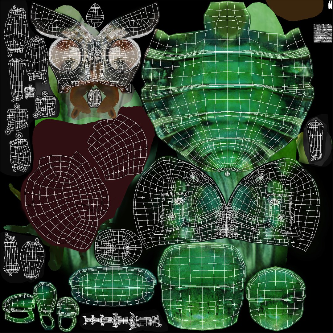 insects set gibbifer 3D https://p.turbosquid.com/ts-thumb/Re/ItAWIO/mbJ4qfEj/insectscollectionvray3dmodels60/jpg/1471446849/1920x1080/fit_q87/4aa3fe39c1114bf28e9c2b44bb8a22fe8abcb413/insectscollectionvray3dmodels60.jpg