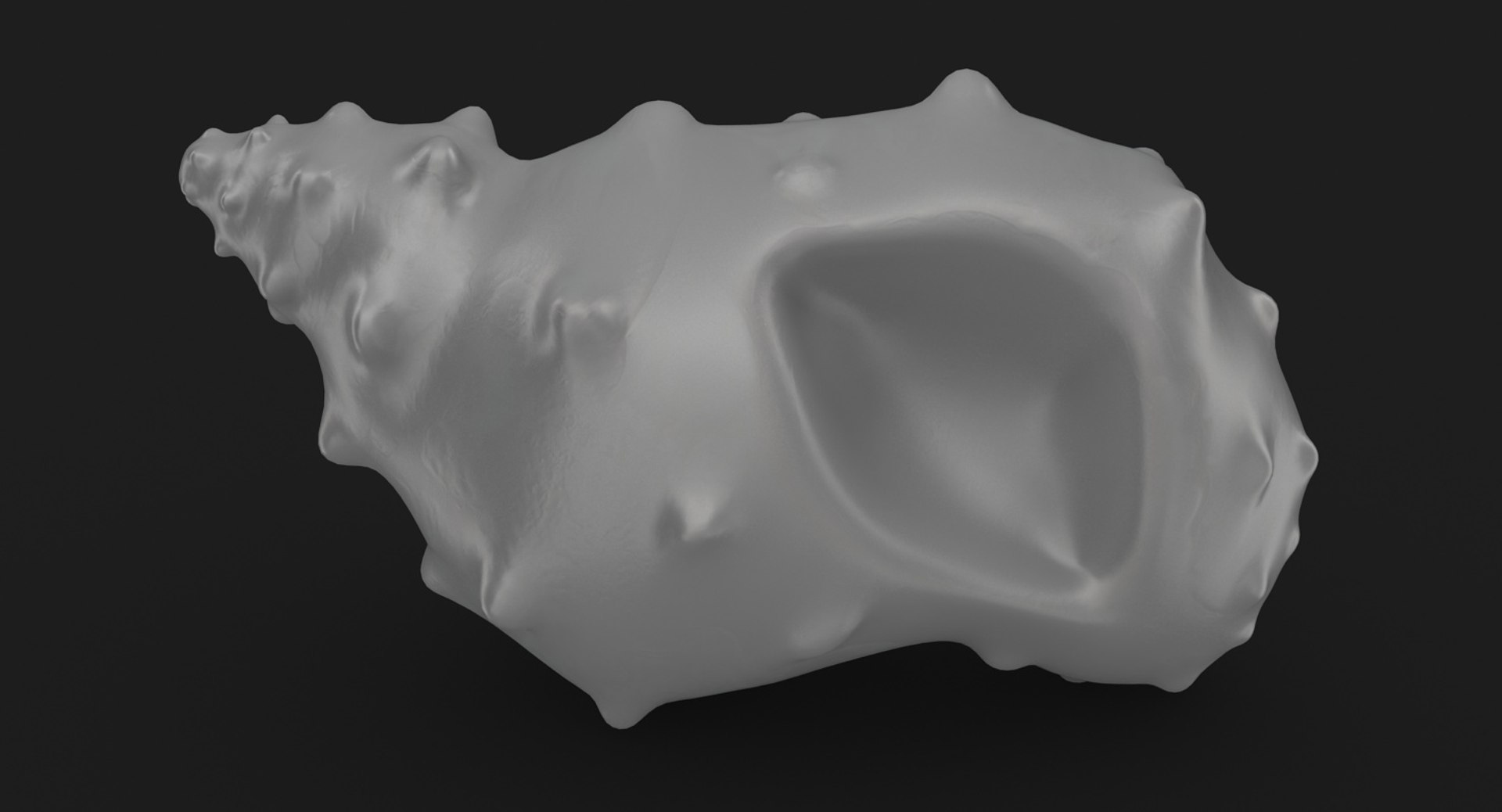 3D sea shell 3 model - TurboSquid 1150021