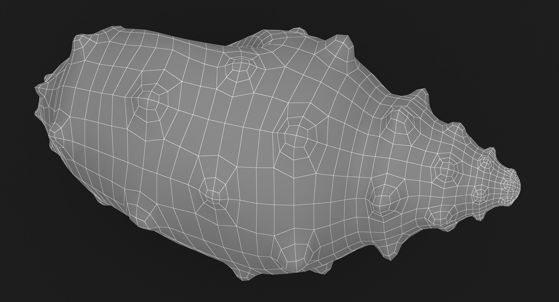 3D sea shell 3 model - TurboSquid 1150021
