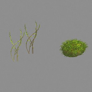 plants - brushwood 03 model