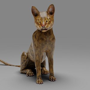 Cat Grey Rigged and Animated 3D model