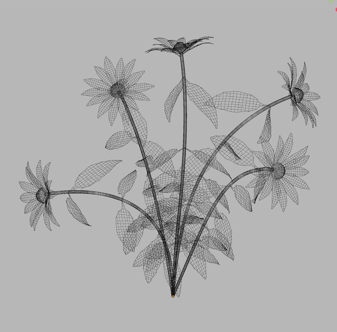 3D model Rudbeckia Early Bird Gold 3D Model Download - Highly Detailed - Blender Sketchup Excel   More GlbG https://p.turbosquid.com/ts-thumb/Rf/NrDtmo/m9/rudbeckiaearlybirdgoldwireframe/png/1786363699/1920x1080/fit_q87/47e4a5e17ed8e6969f7e8d1859aedaf0445e075b/rudbeckiaearlybirdgoldwireframe.jpg