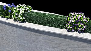 bush wall plant