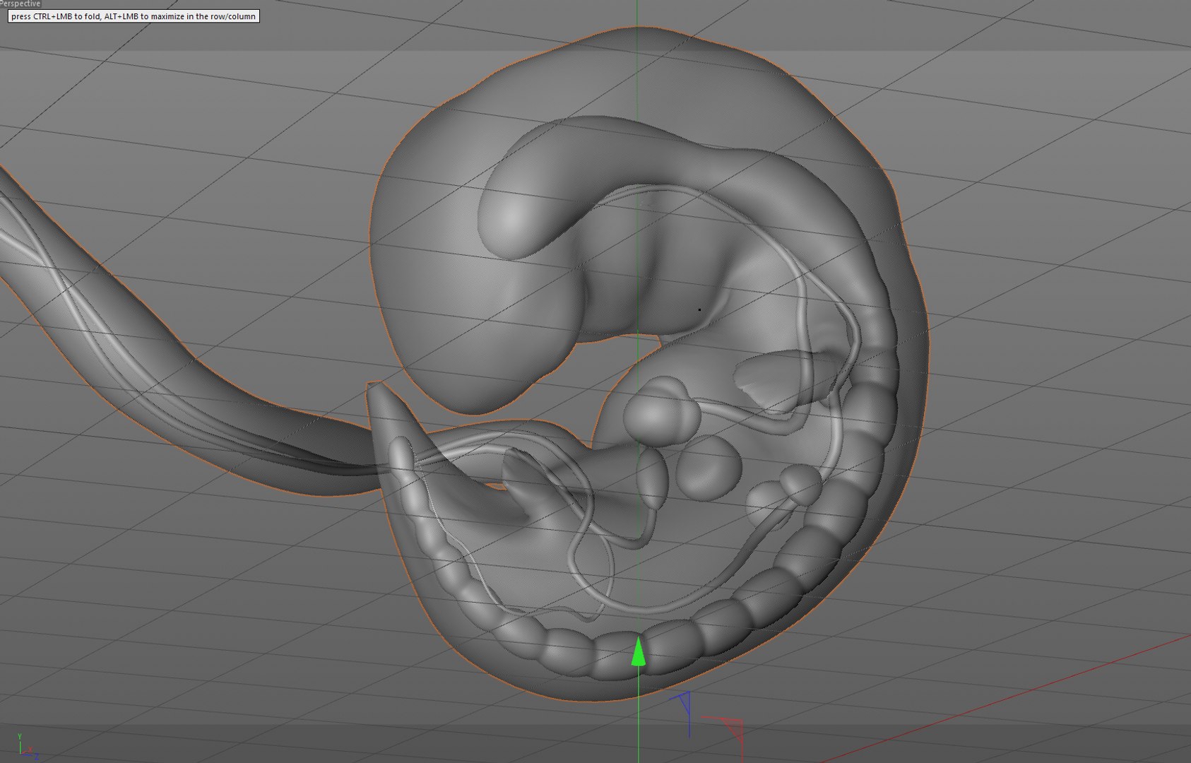 human fetus internal organs 3D model https://p.turbosquid.com/ts-thumb/Rf/jY4EUs/8oLqPFON/w2/png/1510611430/1920x1080/fit_q87/d2e59387d675ceacf7eed34eb297f38b3d6c7935/w2.jpg