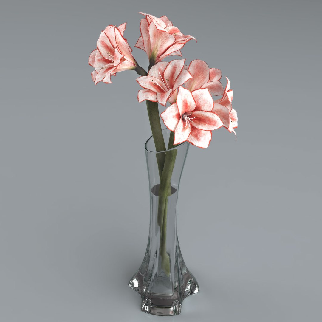3d amaryllis hippeastrum flowers https://p.turbosquid.com/ts-thumb/Rf/oGyxKd/ElLT78hG/005/jpg/1292947177/1920x1080/fit_q87/3ff0c3c27fade45d44d632499b974bdb99604deb/005.jpg