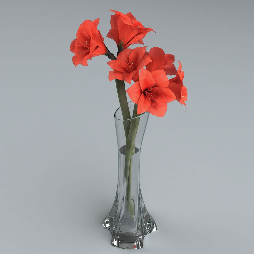 3d amaryllis hippeastrum flowers https://p.turbosquid.com/ts-thumb/Rf/oGyxKd/ILmrZwYf/009/jpg/1292947177/1920x1080/fit_q87/33734ad8f8211d51a0b527765f43ae0b323a41fa/009.jpg