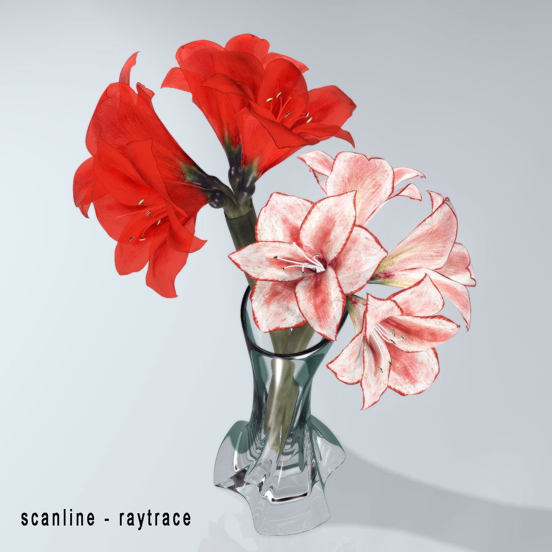 3d amaryllis hippeastrum flowers https://p.turbosquid.com/ts-thumb/Rf/oGyxKd/q7VK3SO3/rt_001/jpg/1292947177/1920x1080/fit_q87/94286d50f9cda19feaf158832032a70f98e17c88/rt_001.jpg