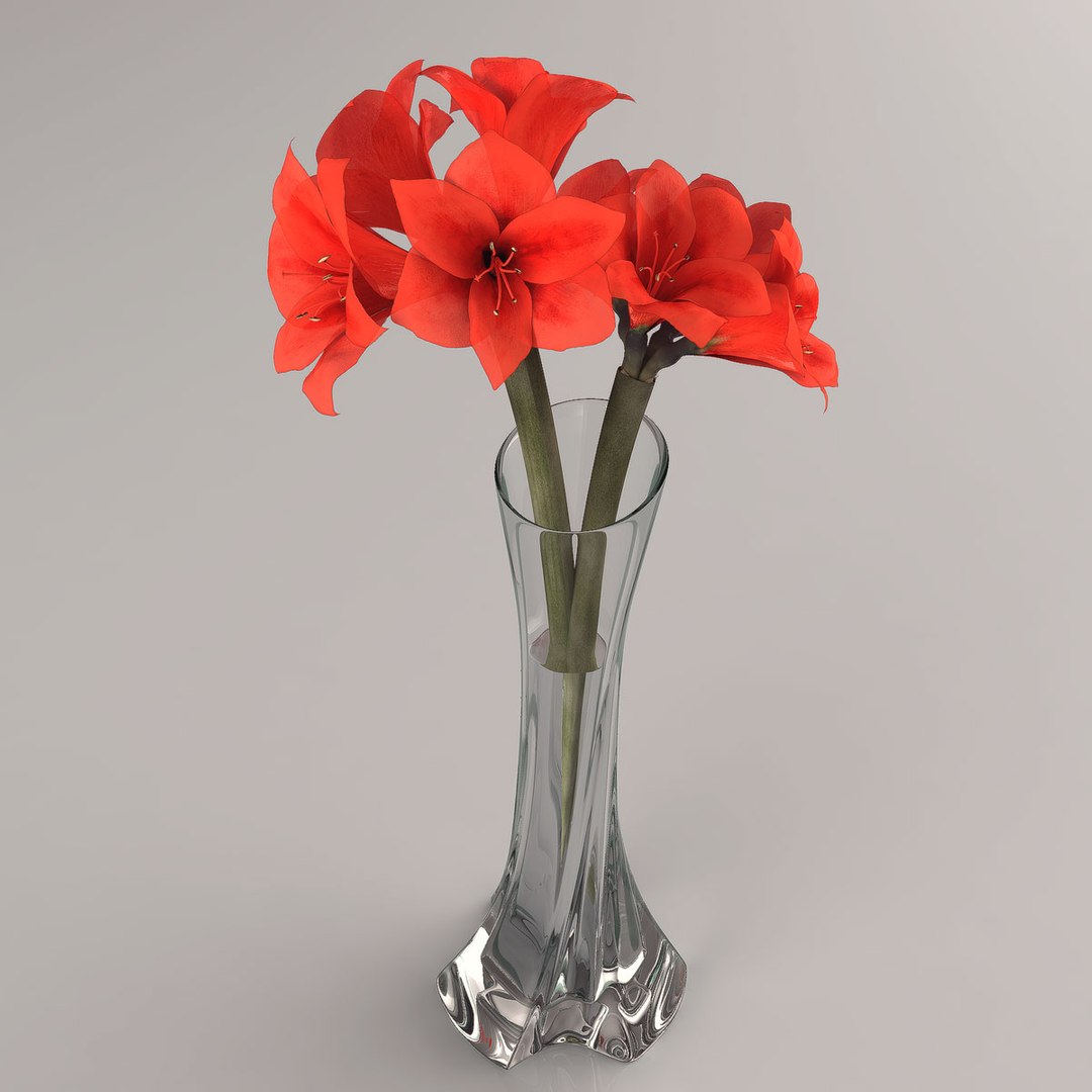 3d amaryllis hippeastrum flowers https://p.turbosquid.com/ts-thumb/Rf/oGyxKd/s6maDJjV/003/jpg/1292947177/1920x1080/fit_q87/db998cdad74645320f326eebb5583af61156f9cc/003.jpg