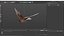 Colombe Lowpoly Ferals en position de vol marron