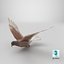 Colombe Lowpoly Ferals en position de vol marron