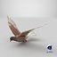 Colombe Lowpoly Ferals en position de vol marron