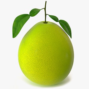 Green Pomelo Fruit model