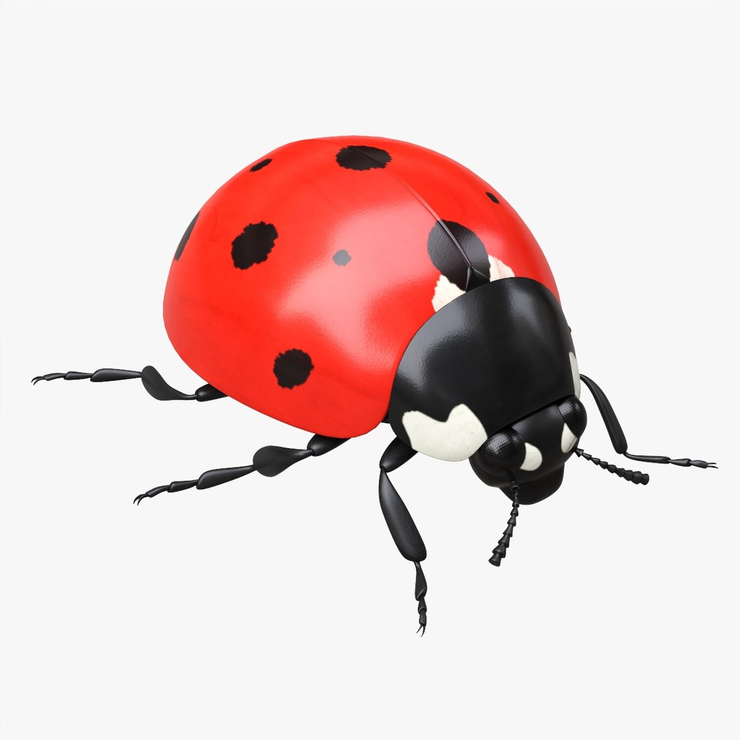 Ladybug 3D - TurboSquid 1841827