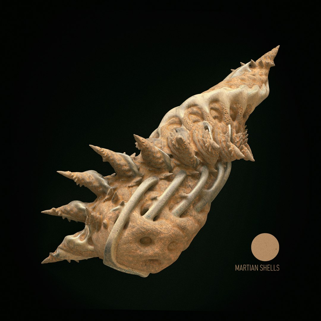 martian shells 3D model https://p.turbosquid.com/ts-thumb/Rg/5w9noK/0CxHLu2r/v2/jpg/1496419493/1920x1080/fit_q87/ebfdc6144e589f316c762c14456c9099412dd828/v2.jpg