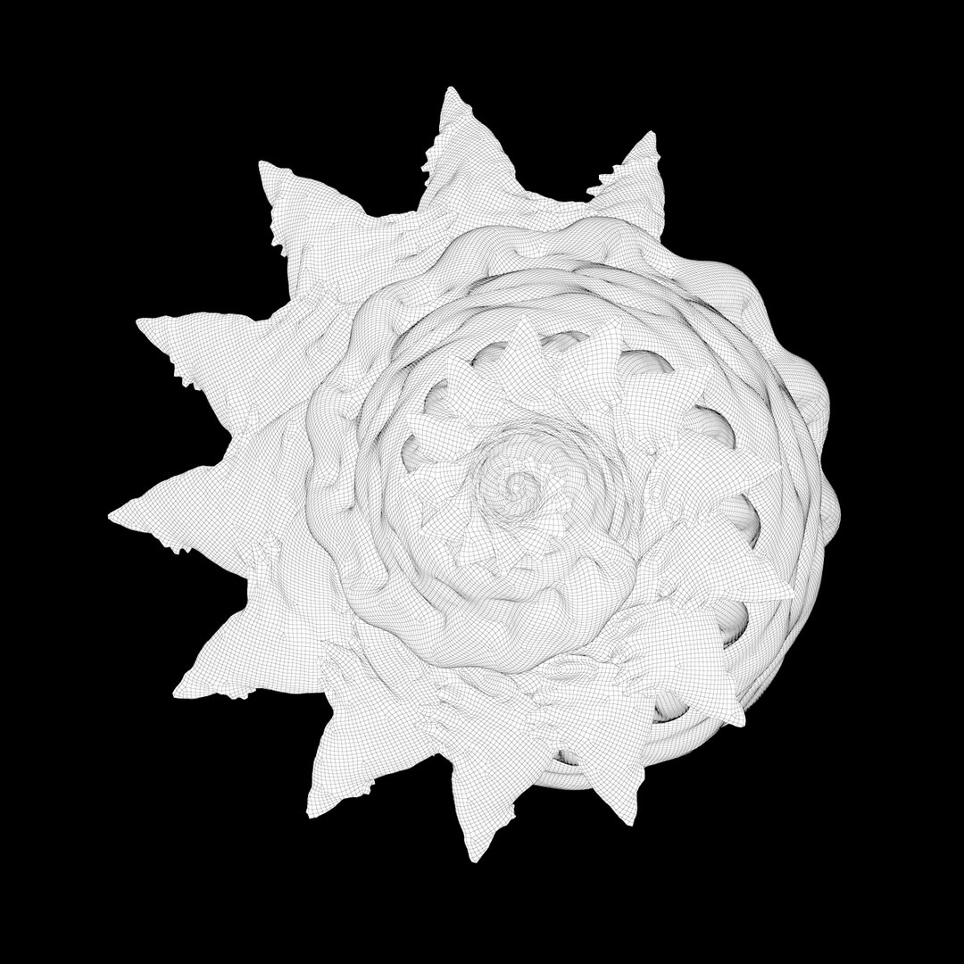 martian shells 3D model https://p.turbosquid.com/ts-thumb/Rg/5w9noK/6N7W5sUb/v5_wire/jpg/1496419539/1920x1080/fit_q87/ab4e908818da2c73f3a42d240c2cd2b1517bafd4/v5_wire.jpg