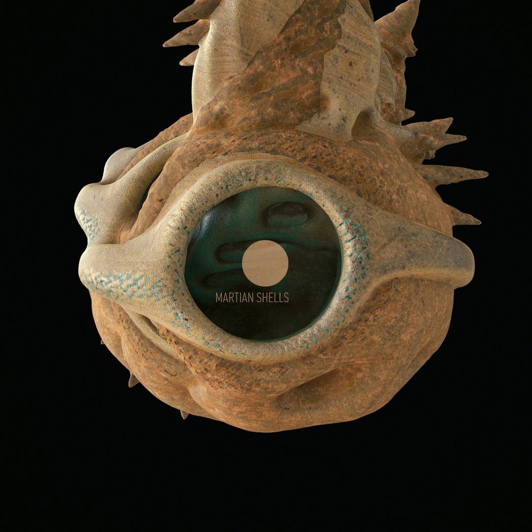 martian shells 3D model https://p.turbosquid.com/ts-thumb/Rg/5w9noK/F5eeoN5K/v4/jpg/1496419502/1920x1080/fit_q87/fd22e40dd5e2f859d32361931601adf2815708b8/v4.jpg