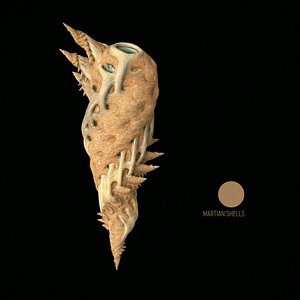martian shells 3D model
