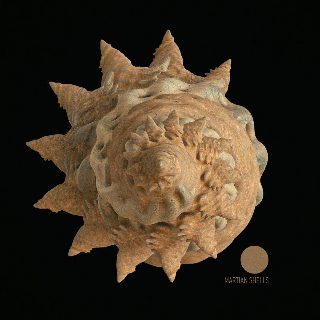 martian shells 3D model https://p.turbosquid.com/ts-thumb/Rg/5w9noK/RH4VI8nS/v5/jpg/1496419506/1920x1080/fit_q87/c6a85bb3c7fe32052683a83fead054f58c212bc5/v5.jpg