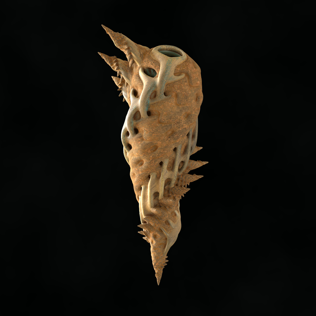 martian shells 3D model https://p.turbosquid.com/ts-thumb/Rg/5w9noK/Th5fwmiG/0000/png/1496419596/1920x1080/turn_fit_q99/35adc8be25cd1e4b13f37e4223e5753be0fd7681/0000-1.jpg