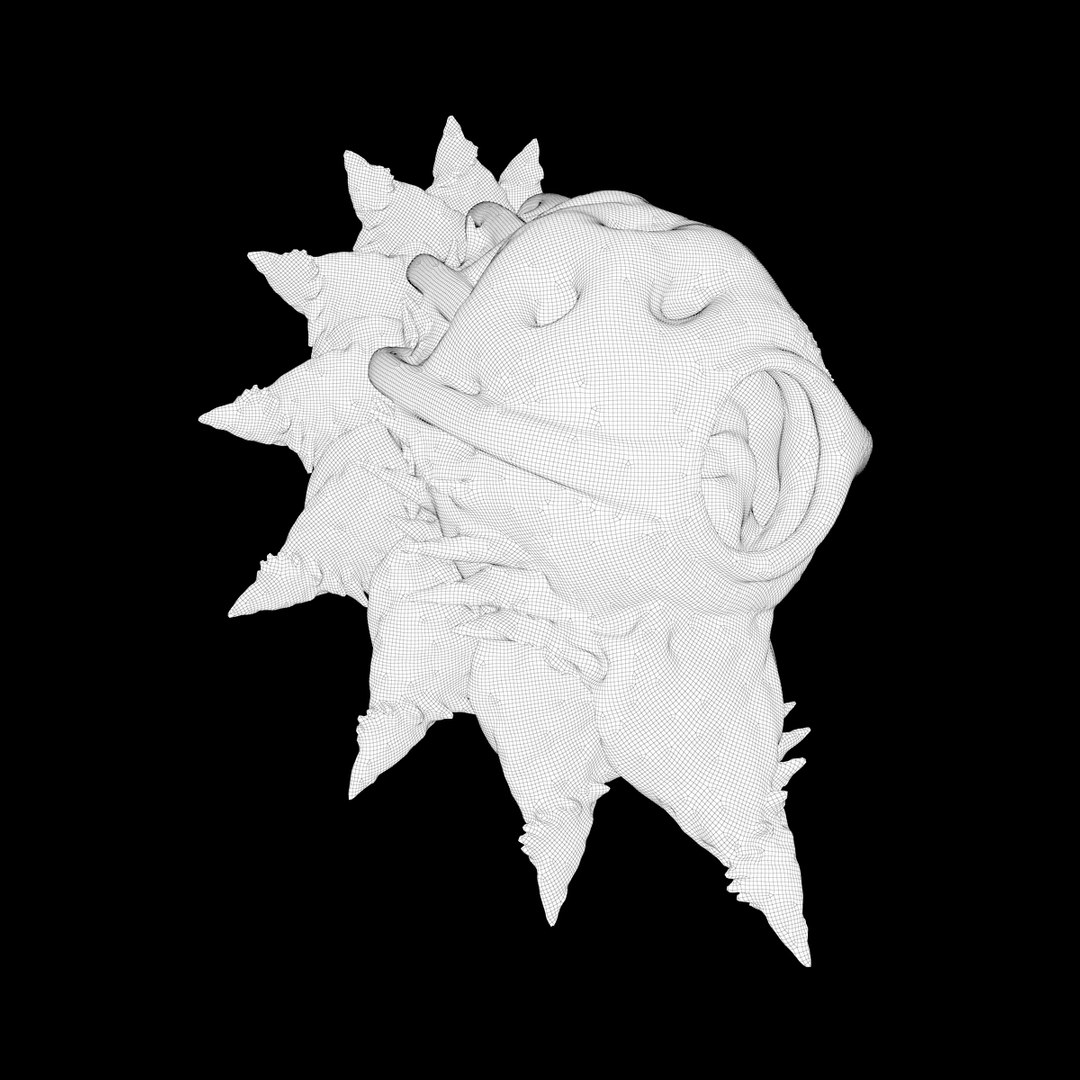 martian shells 3D model https://p.turbosquid.com/ts-thumb/Rg/5w9noK/V3LEyYcE/v6_wire/jpg/1496419539/1920x1080/fit_q87/b986c719869c61fdc4c84a050a82f5fd0d9ee0a1/v6_wire.jpg