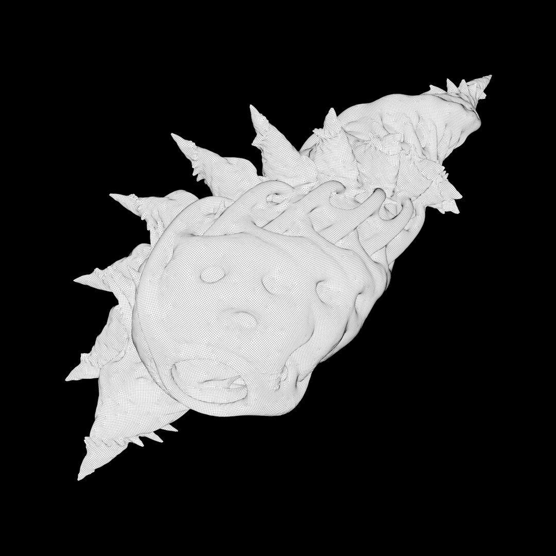 martian shells 3D model https://p.turbosquid.com/ts-thumb/Rg/5w9noK/kgqZV66e/v1_wire/jpg/1496419539/1920x1080/fit_q87/c9c2f040354bb6713f43c544b8b156c44c4a0a72/v1_wire.jpg